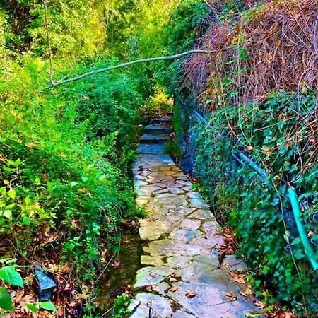 Сasa de vacaciones παλιό κελάρι σε πέτρινο σπίτι *
