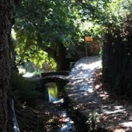 παλιό κελάρι σε πέτρινο σπίτι * Áno Potamiá