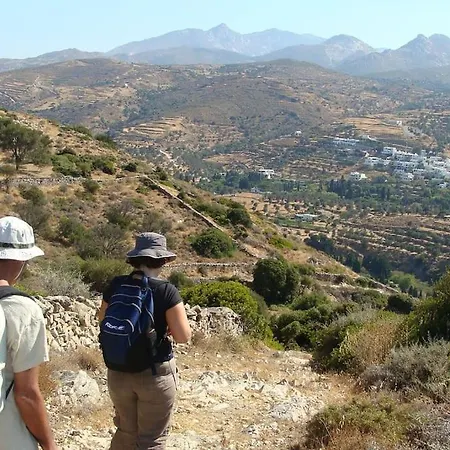 Nyaraló παλιό κελάρι σε πέτρινο σπίτι