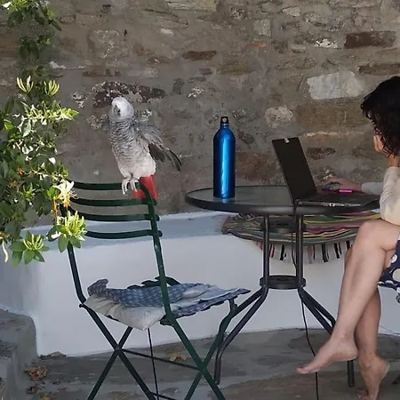 παλιό κελάρι σε πέτρινο σπίτι Áno Potamiá