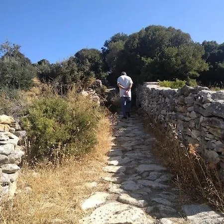 別荘 παλιό κελάρι σε πέτρινο σπίτι *