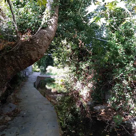 παλιό κελάρι σε πέτρινο σπίτι * Áno Potamiá